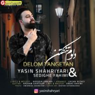 یاسین شهریاری اهنگ دلوم تنگتن یاسین شهریاری اهنگ دلوم تنگتن