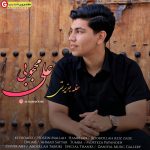 علی محجوبی جزیرتی