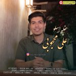 علی محجوبی اسلو