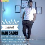 هادی صدری اهنگ شاخه نبات