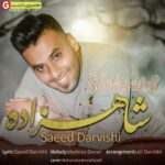 آهنگ جدید سعید درویشی شاهزاده