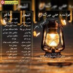 آلبوم جدید علی میرشکال بنام پافنر