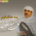 آهنگ جدید علی میرشکال بنام مه عاشقوم
