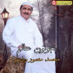 آهنگ جدید محمد منصور وزیری بنام جونُن عالم
