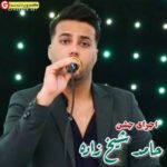 آهنگ جدید حامد شیخ زاده اجرای زنده