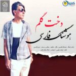 آهنگ جدید هوشنگ فارسی دخت گلم