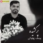 مداحی جدید از یوسف پهلوانی بنام پر کشیده