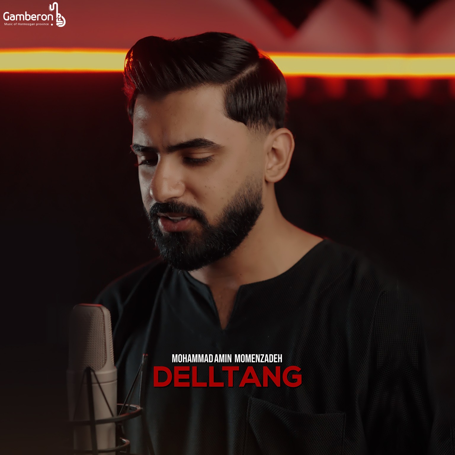 آهنگ جدید از محمد امین مومن زاده بنام دلتنگ