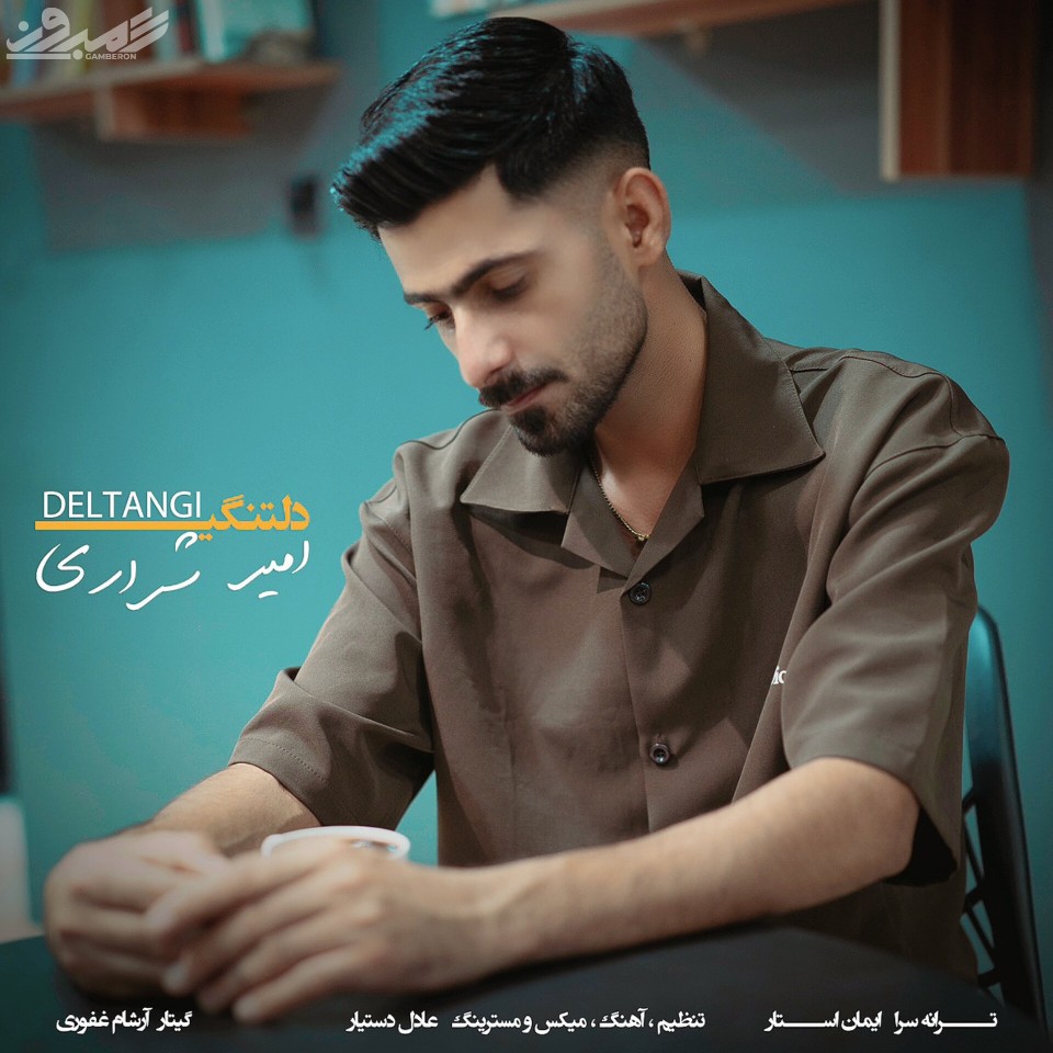 امیر شراری - دلتنگی